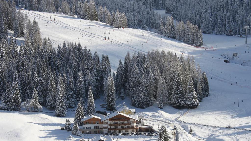 Garni Hotel Rosengarten B&B