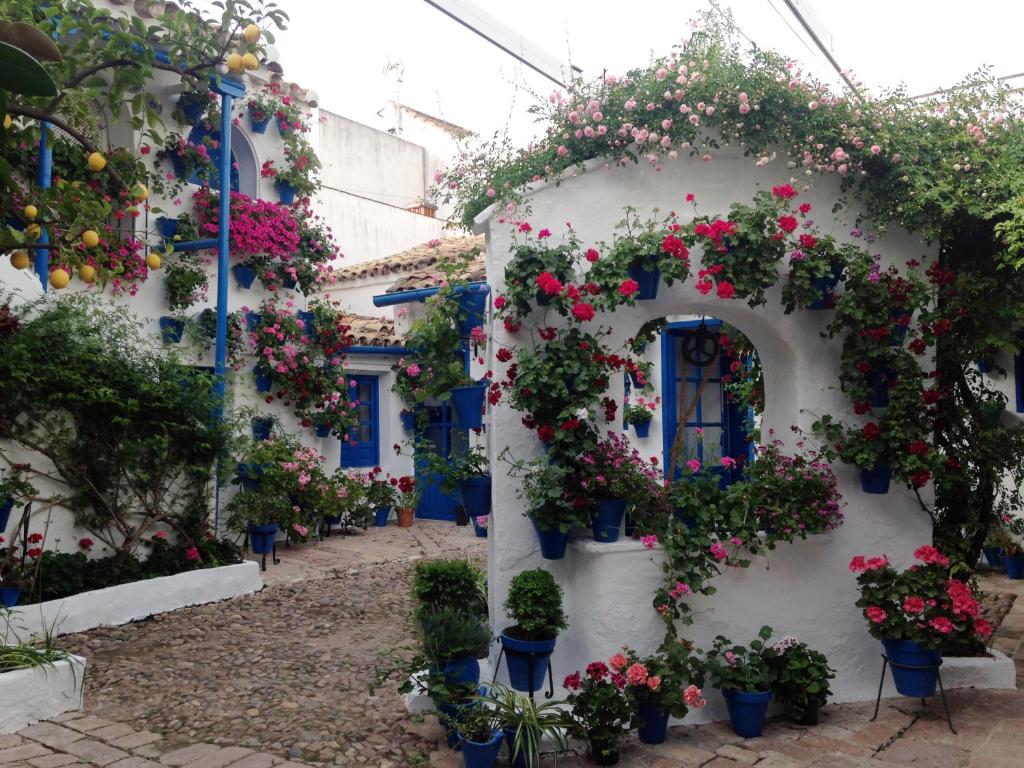 Patio San Lorenzo 6