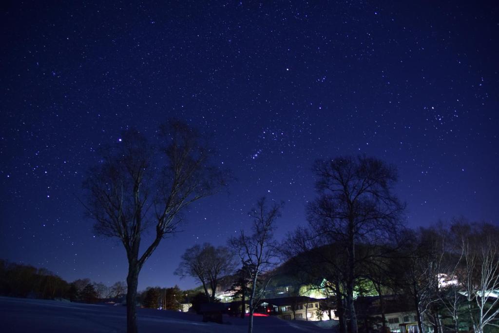 Photo de la galerie de l'établissement Villa Ichinose, à Yamanouchi