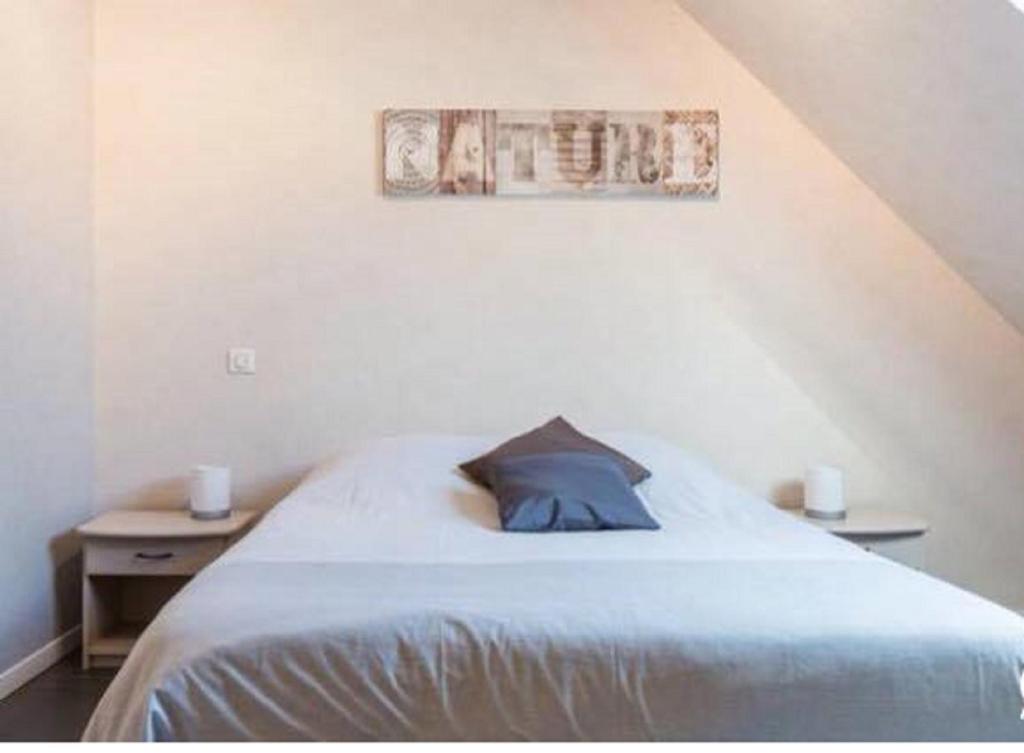 une chambre avec un lit avec un oreiller bleu dessus dans l'établissement Gîte Spa Sauna Piscine CÔTÉ VERGER Merxheim Alsace, à Merxheim