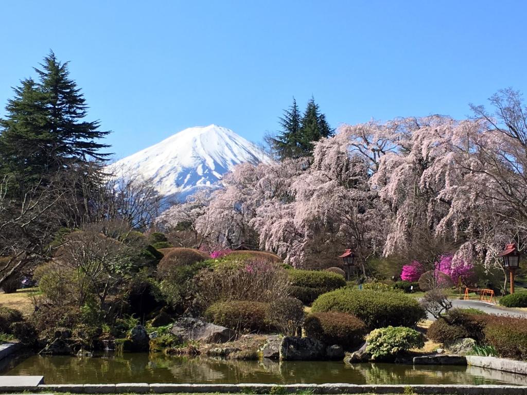 une montagne au fond avec un étang et des arbres dans l'établissement Fuji View Hotel, à Fujikawaguchiko