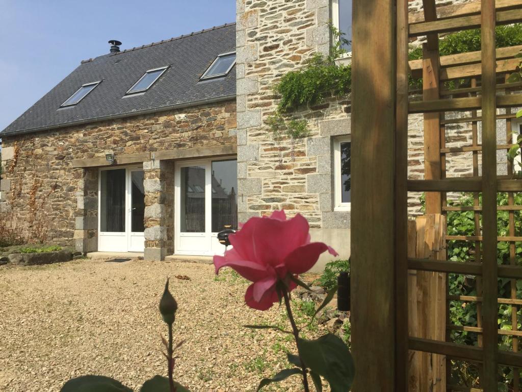 une fleur rouge devant une maison en pierre dans l'établissement Gîte Le Penker, à Minihy-Tréguier 9 autres photos