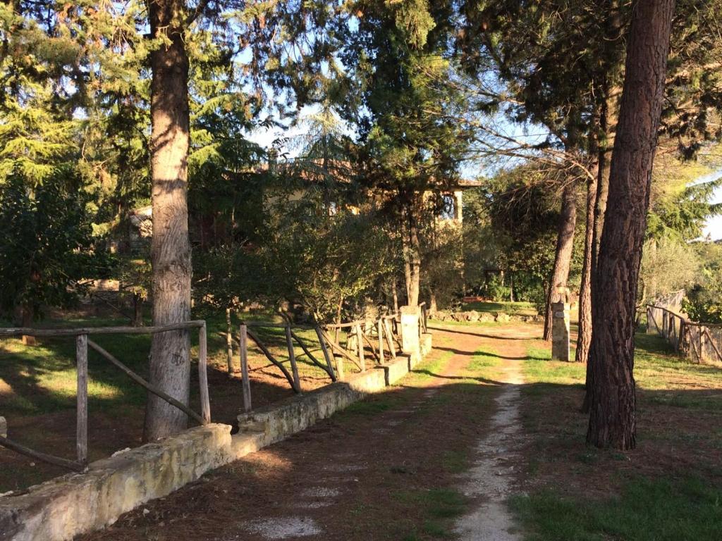 Case Vacanza Podere Risoino 4