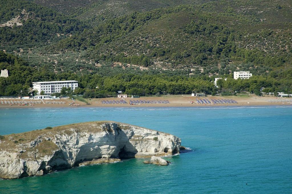 un rocher dans l'eau à côté d'une plage dans l'établissement Hotel Portonuovo, à Vieste