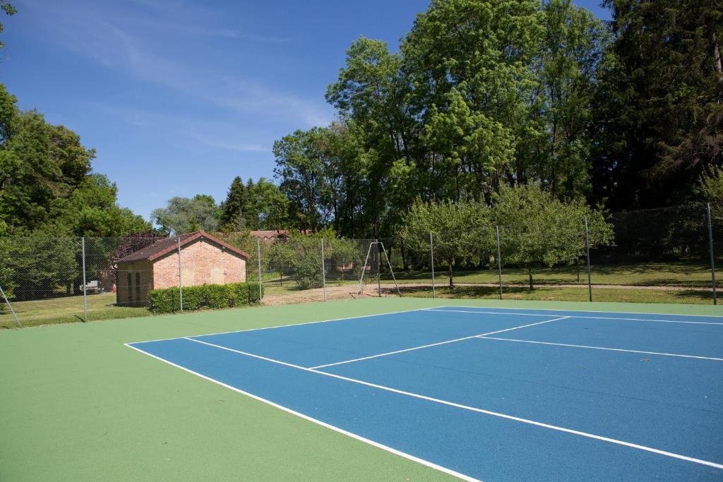 - un court de tennis bleu dans l'établissement Maison de charme - 4 étoiles - Moulin de la serrée, à Nuits-Saint-Georges