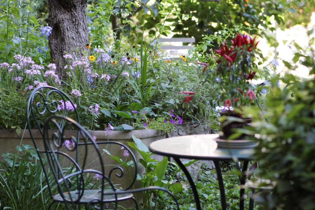 Studios Garden Terrace Oltrarno 7