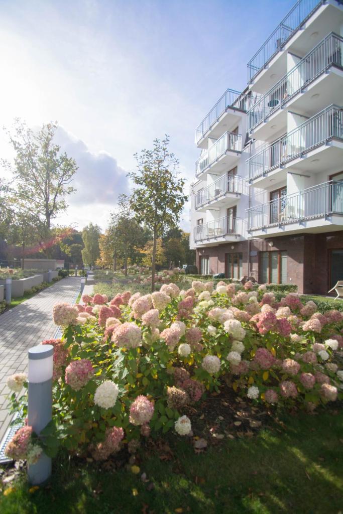 Apartamenty na Wyspie - Aquamarina - Parking 1