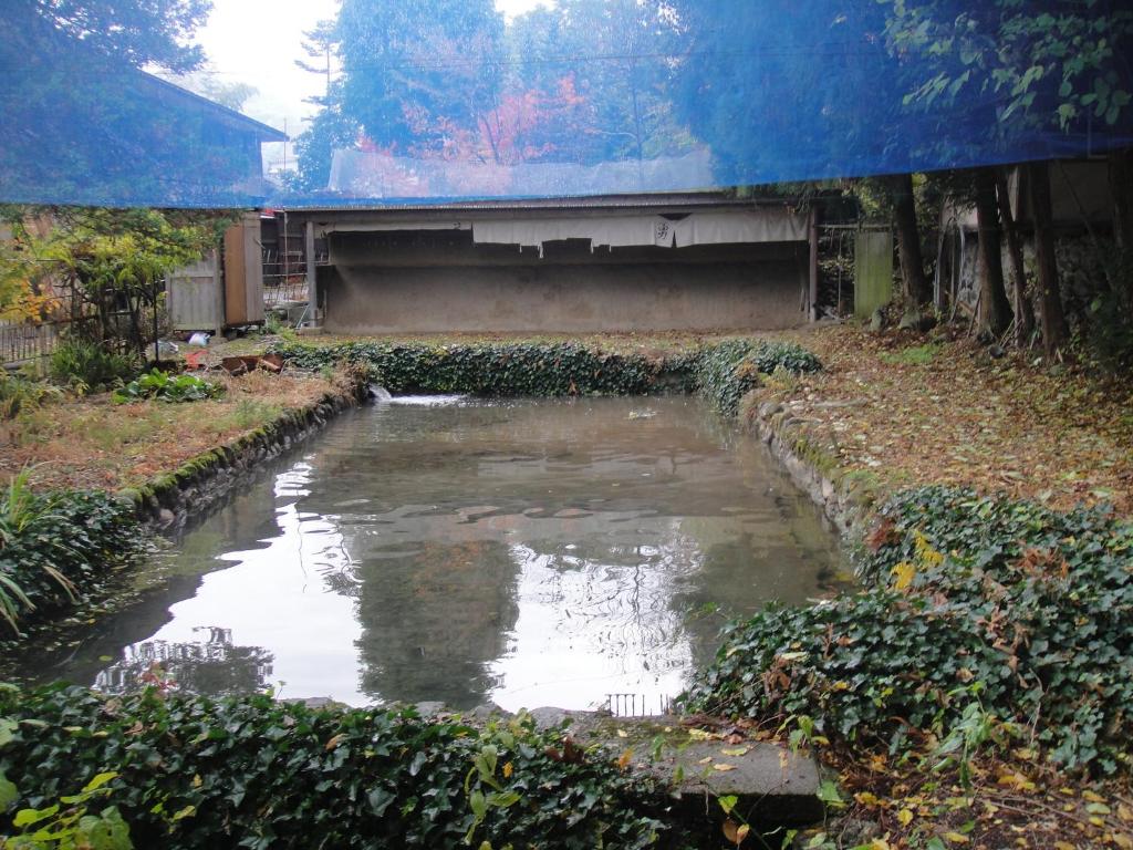 une piscine d'eau dans une cour à côté d'un bâtiment dans l'établissement Uotoshi Ryokan, à Yamanouchi