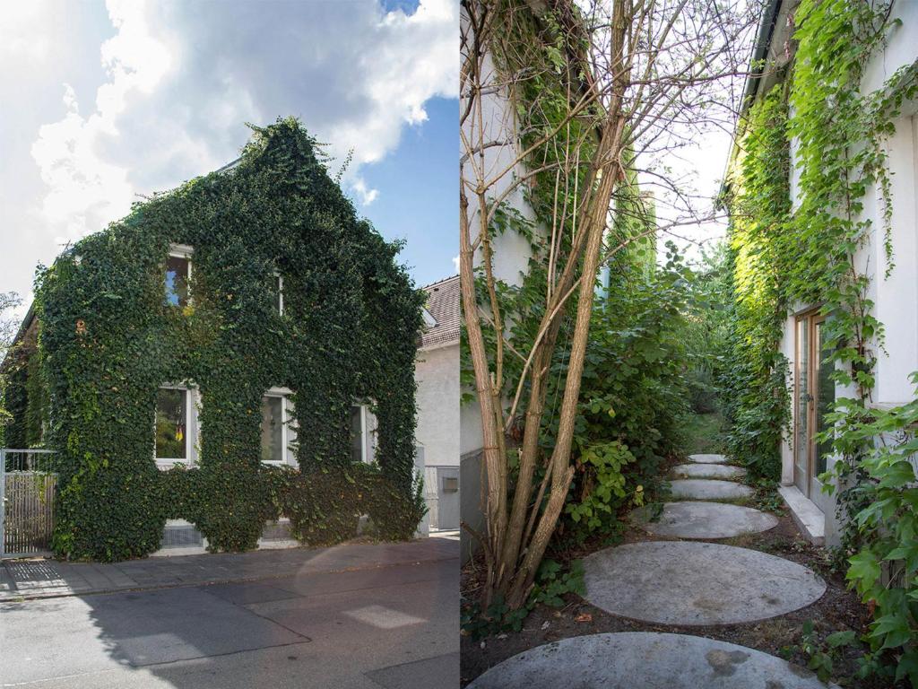 Gruppenhaus Darmstadt 1