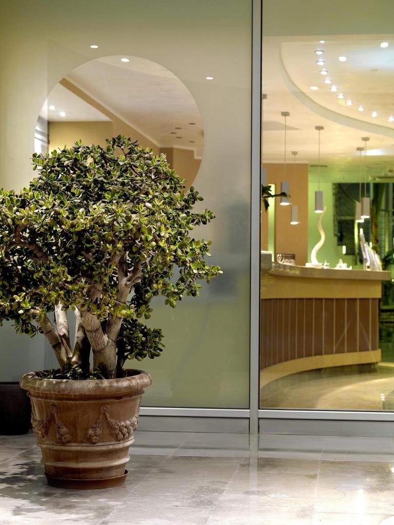 une grande usine dans un pot devant un magasin dans l'établissement Casa Del Mar, à Roseto degli Abruzzi