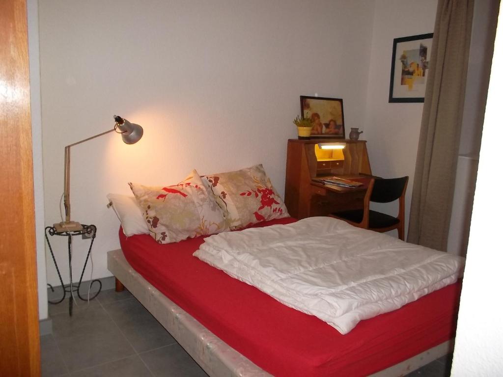 Villa Schiller, 2 studios côté jardin - quartier Orangerie 4