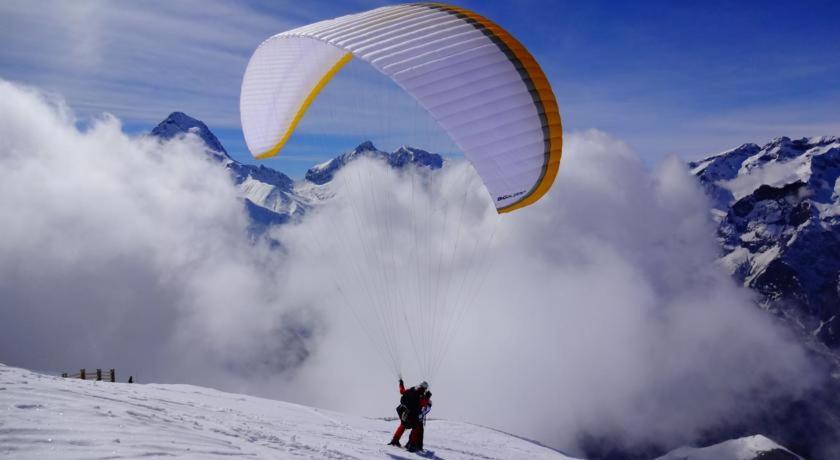 une personne qui vole un parachute sur une montagne enneigée dans l'établissement Studio COTE BRUNE 2 ALPES, à Les Deux Alpes 5 autres photos