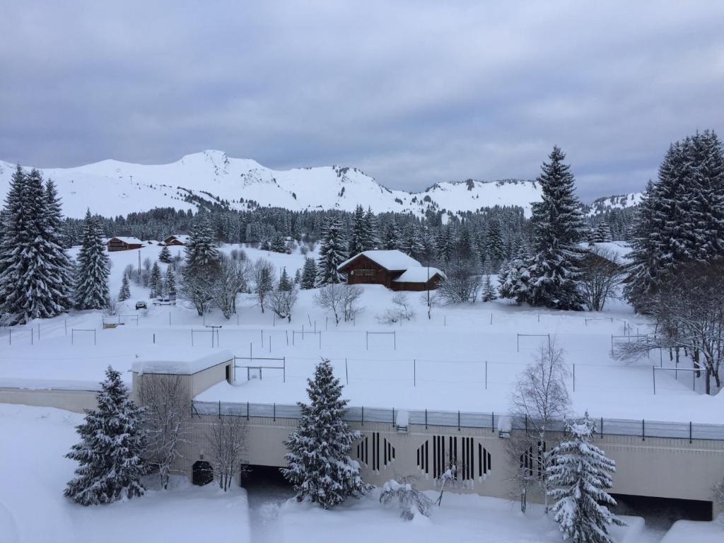 un terrain enneigé avec une maison et un pont dans l'établissement Prazdelys, à Praz de Lys - Sommand 4 autres photos
