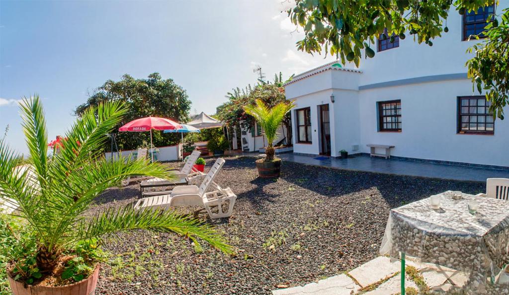 Bodega Goyo 3