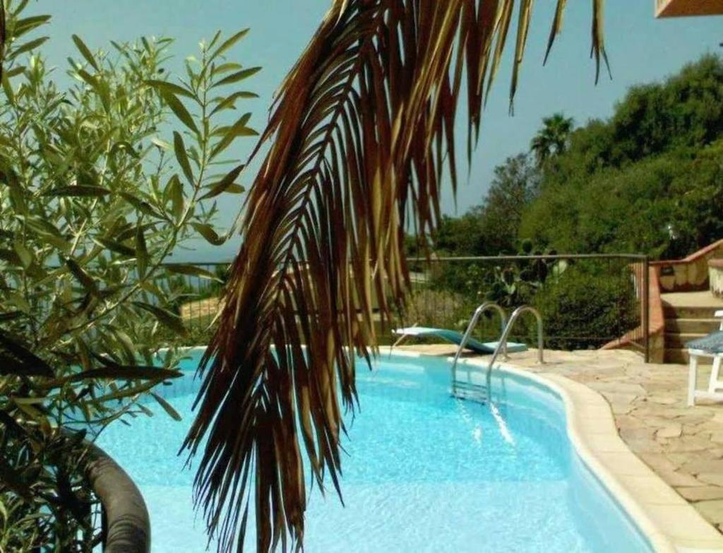 une grande piscine bordée d'un palmier dans l'établissement Villa panoramica tra suggestive notti stellate., à Torre delle Stelle