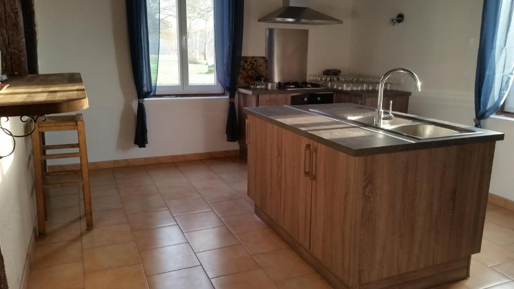 une cuisine avec un évier et un comptoir dans l'établissement Gîte de La Ronce, à Dhuizon