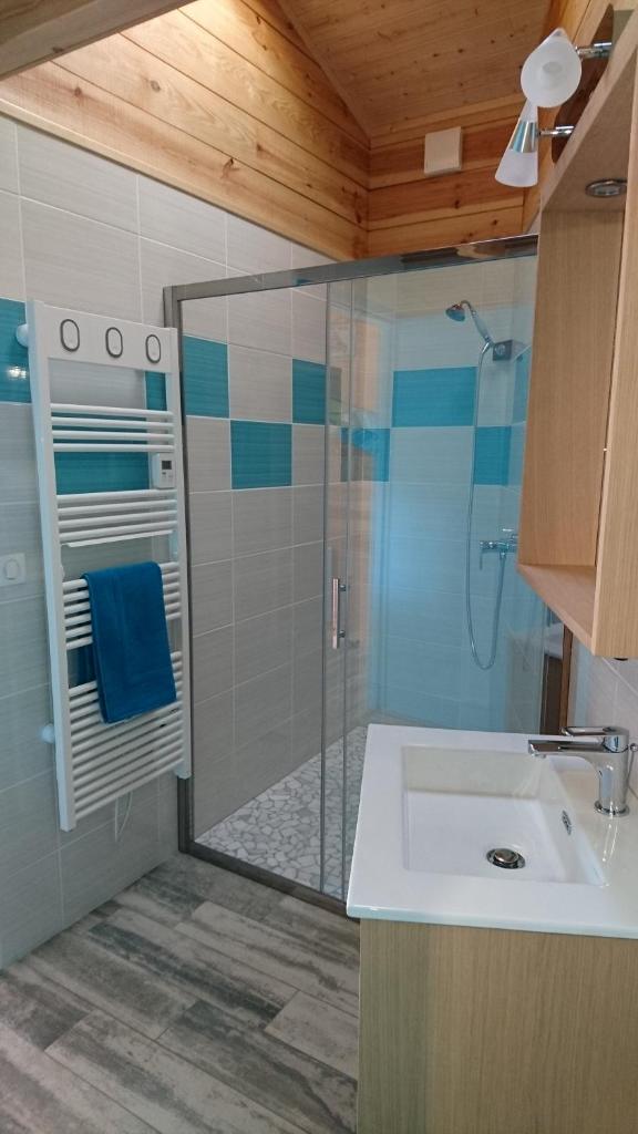 une salle de bain avec une douche en verre et un lavabo dans l'établissement Gîte avec piscine et espace bien-être partagés entre Bordeaux et Lacanau océan, à Brach