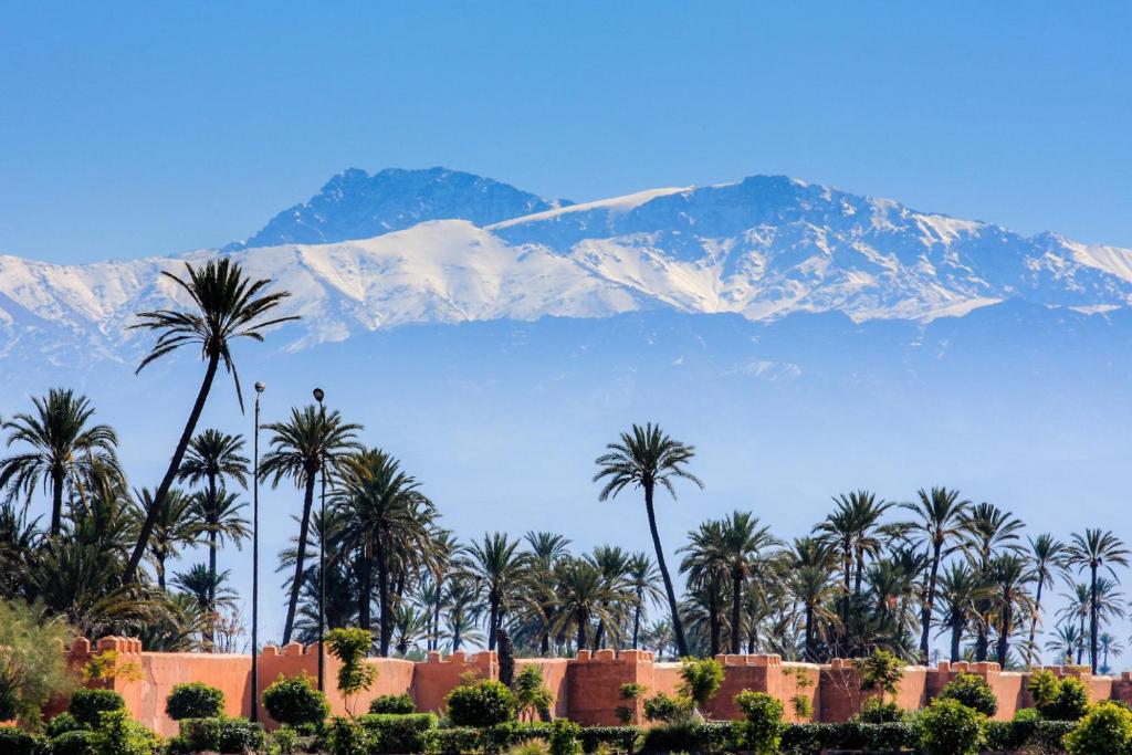 un groupe de palmiers avec une montagne en arrière-plan dans l'établissement Riad Dar More, à Marrakech