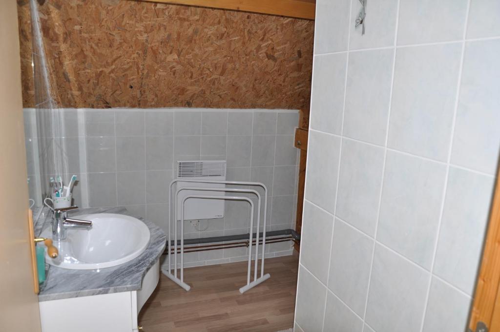 une petite salle de bain avec un lavabo et une douche dans l'établissement Brameloup, à Prades-dʼAubrac