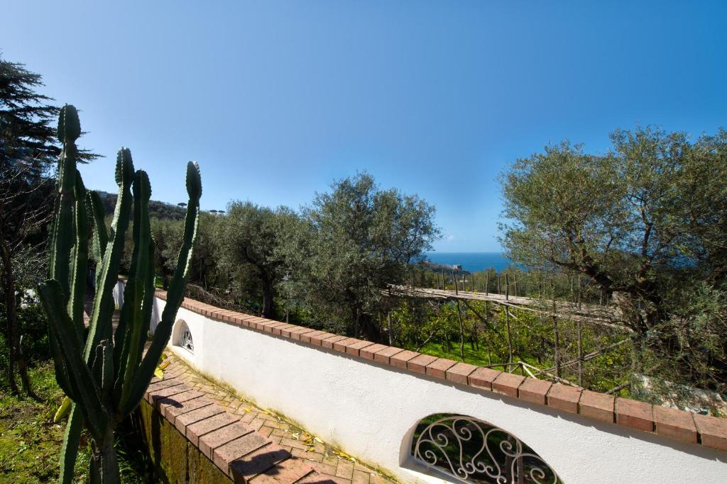 villa le olivine 6