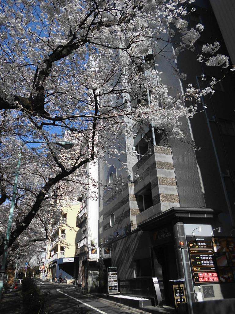 un bâtiment avec des arbres à fleurs en face d'une rue dans l'établissement Hotel Moana Otsuka (Adult Only), à Tokyo