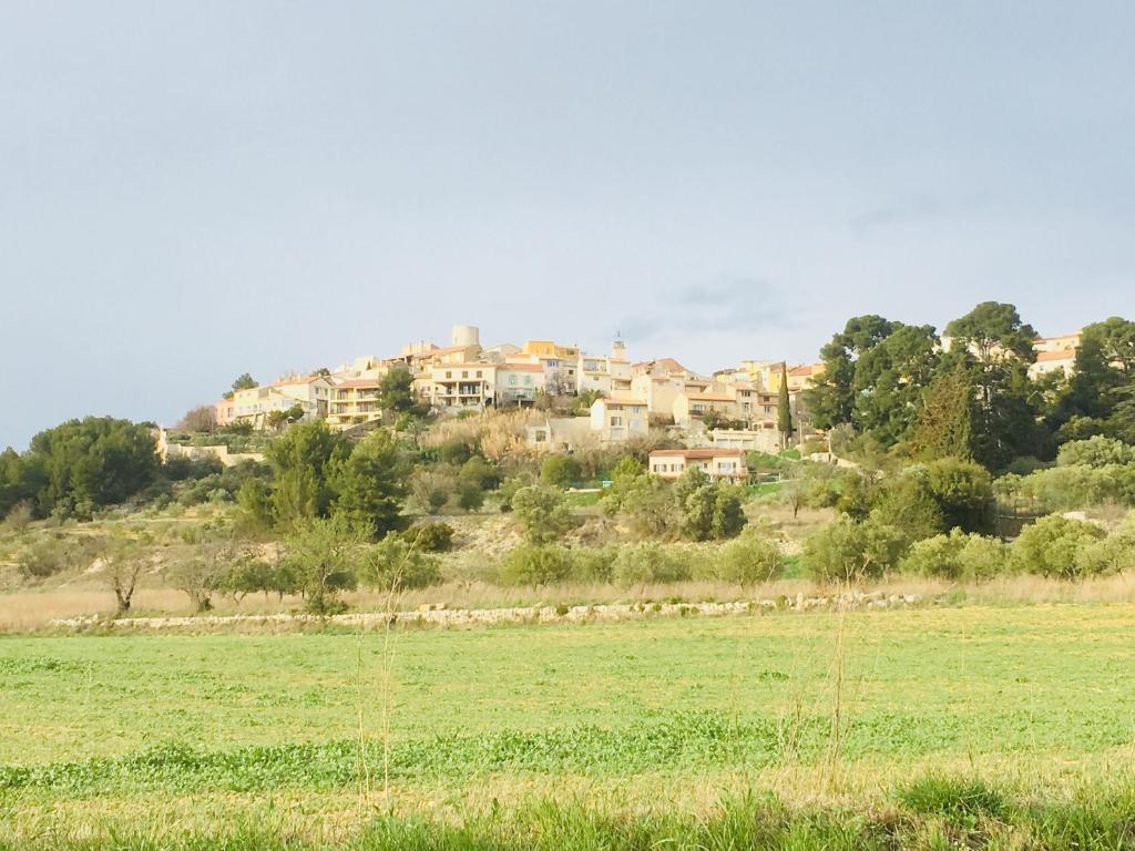 Gites Velaux Ecureuil et Pinède 5