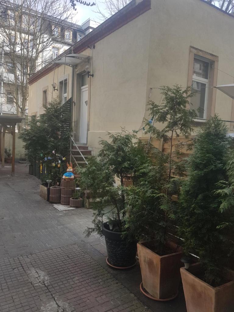Max's Hinterhaus 6