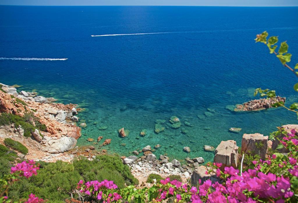 - une vue sur une étendue d'eau ornée de fleurs roses dans l'établissement Hotel Monte Turri - Adults Only, à Àrbatax