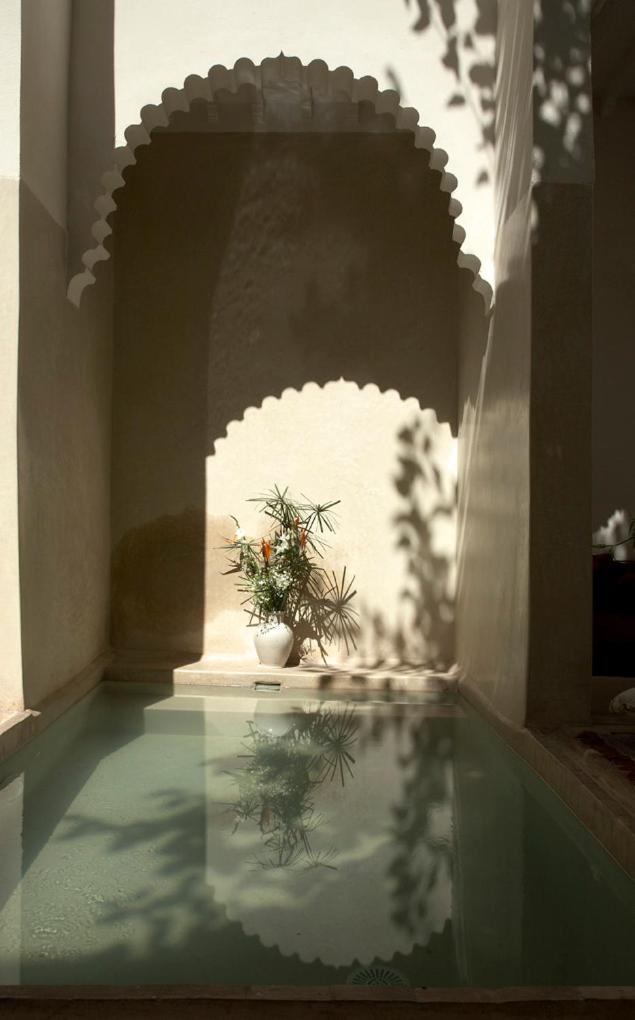 un reflet d'une plante dans un bassin d'eau dans l'établissement Riad Davia, à Marrakech