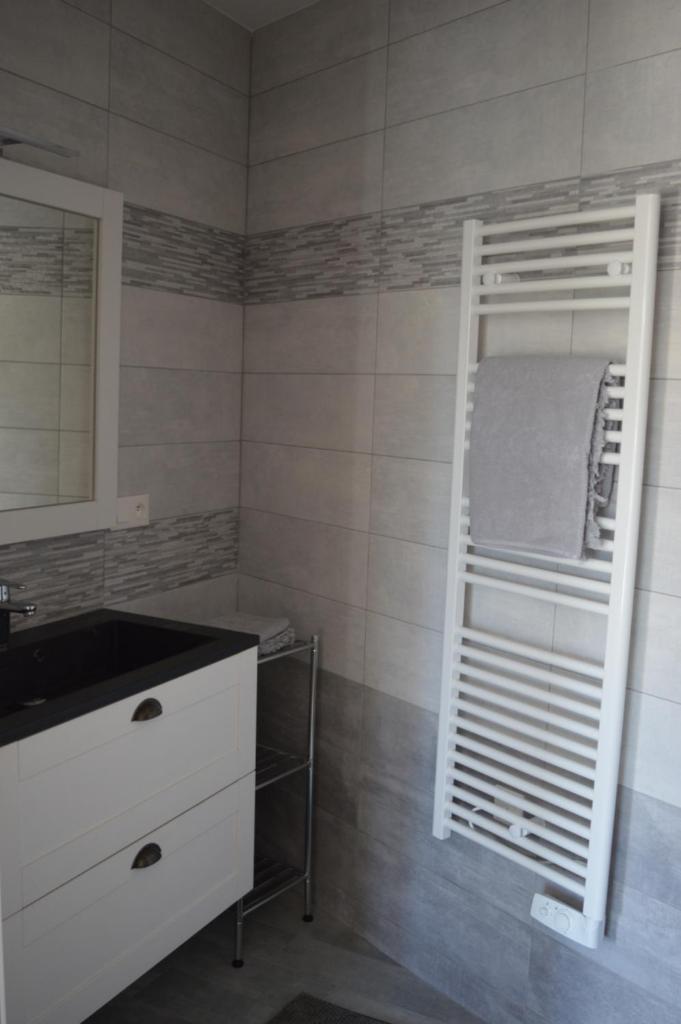 La salle de bains est pourvue d'un lavabo et de lits superposés. dans l'établissement Gite de la Foye - La Couleur des prés, à Combrand