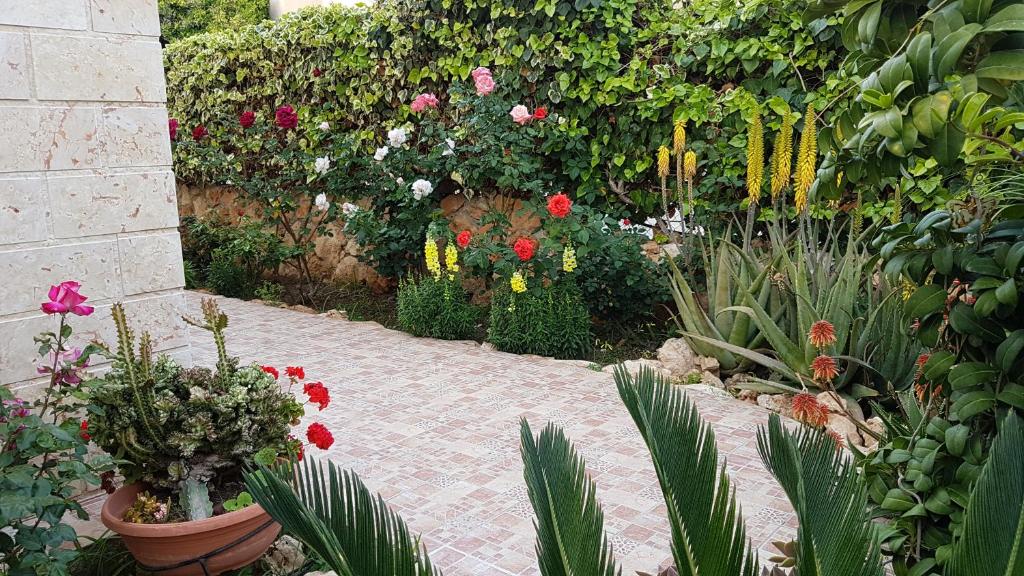 Philippou Beach Villas & Apartments 6