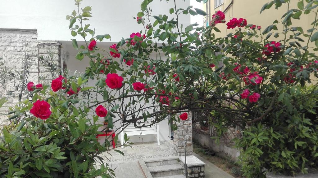 Casa Millegrü 6