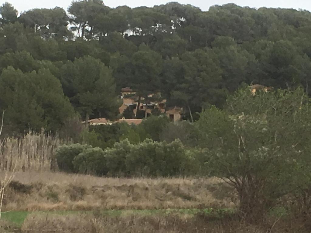 Gites Velaux Ecureuil et Pinède 6