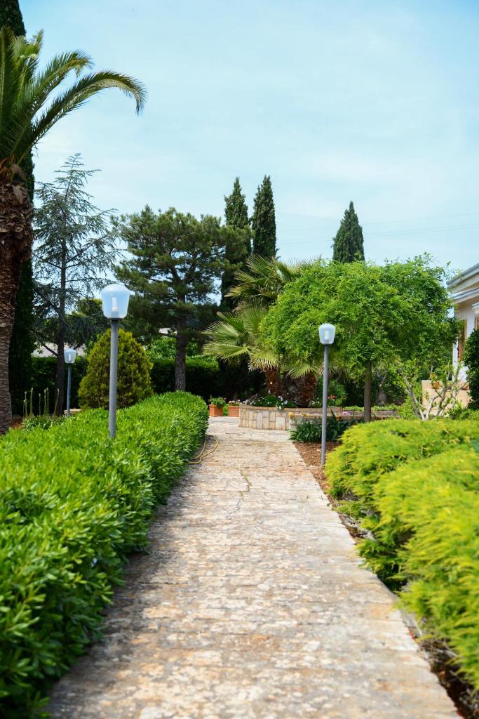 La civetta Rodonisa 7