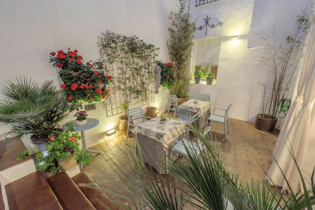 ApartaSuites Alberca Deluxe 6