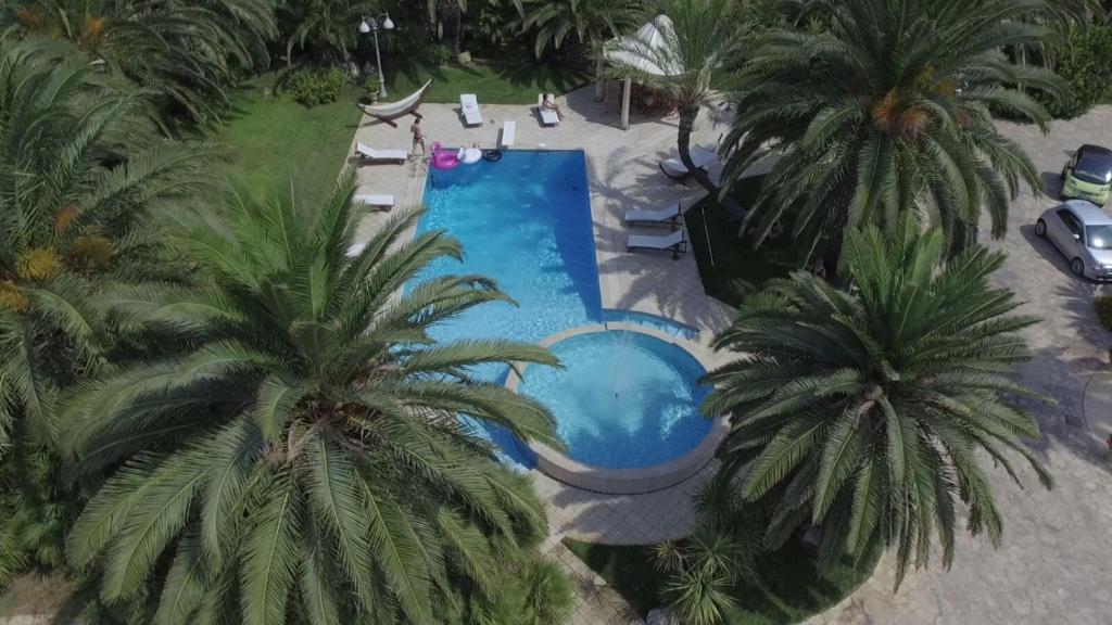 une vue aérienne d'une piscine avec des palmiers dans l'établissement Villa Incoronata, à Nardò