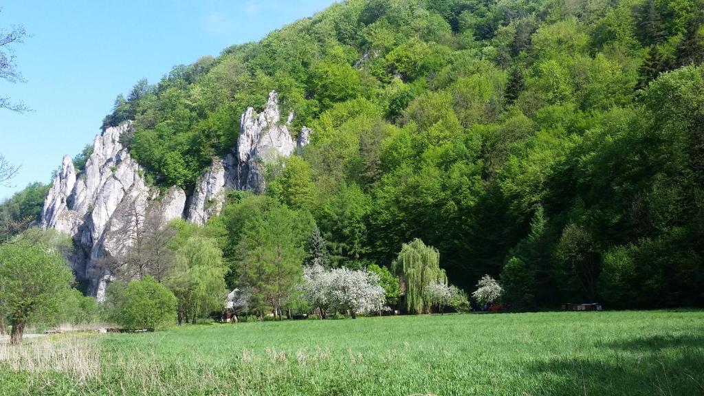 Osada Włościańska 6