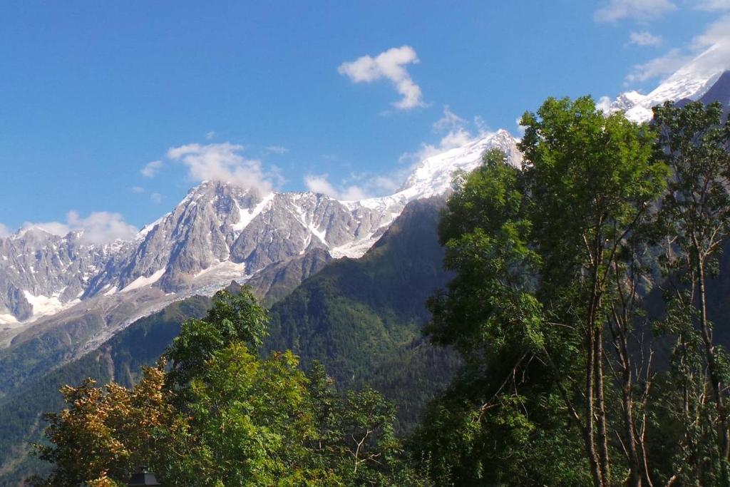 Spacious and stylish flat at the foot of the Mont-Blanc ideal for ski in ski out