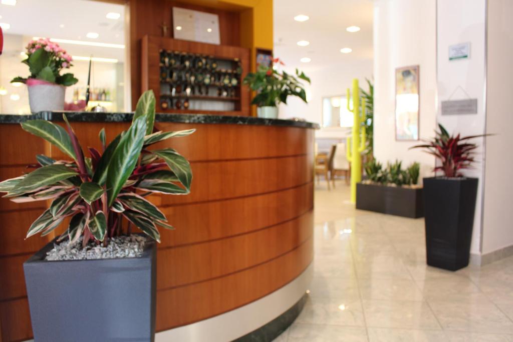 un hall avec des plantes en pot et un comptoir dans un magasin dans l'établissement Hotel Angelo, à Caorle