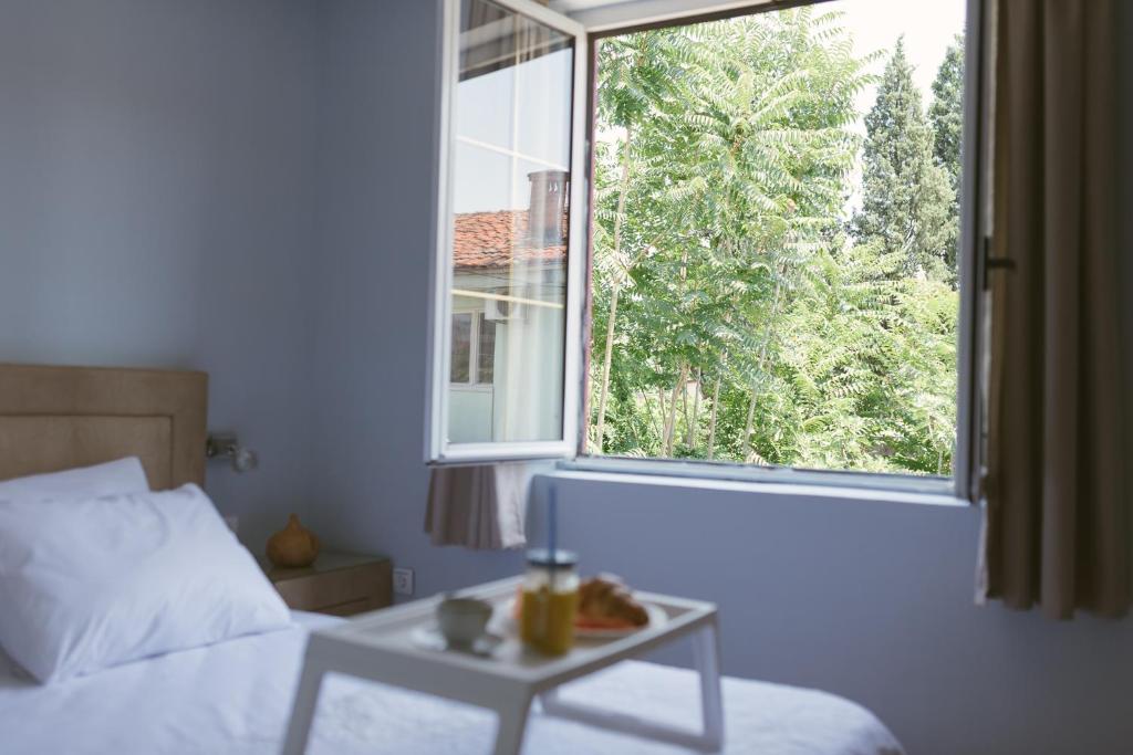 Apartment Luxury Explorer 2