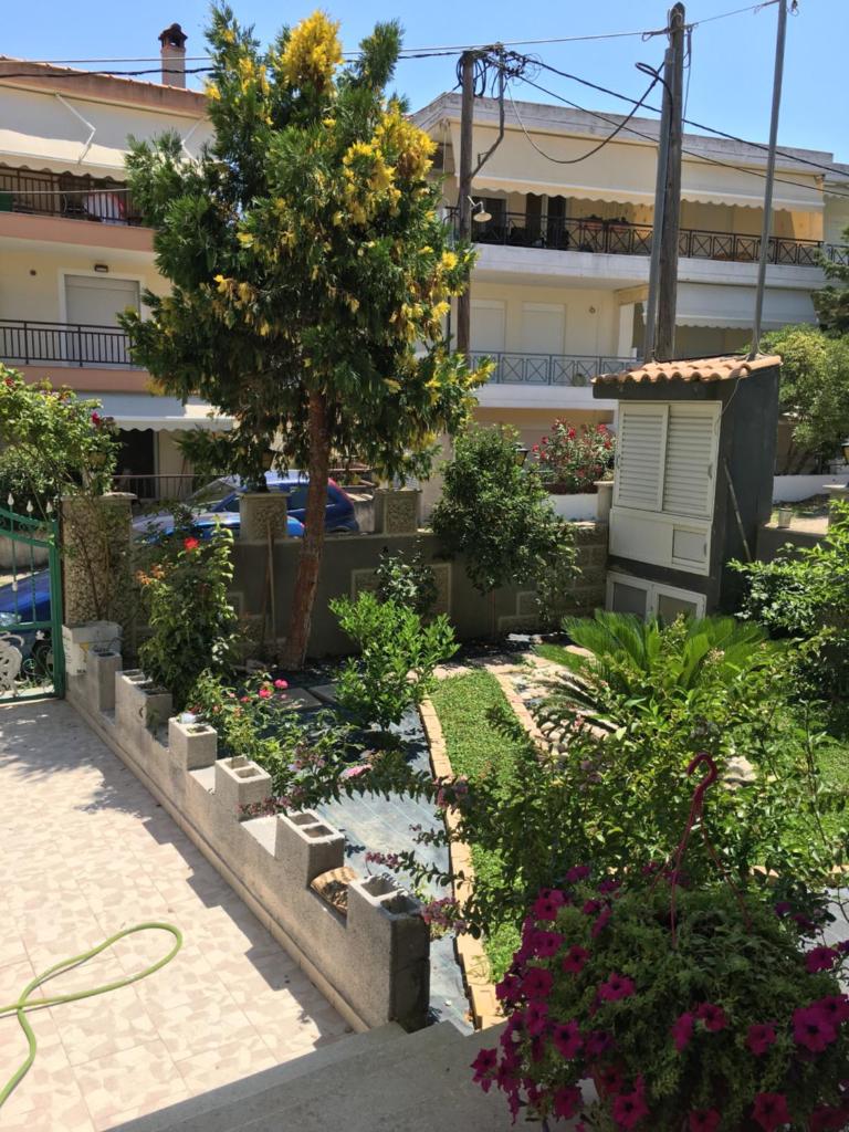 Irenes Apartment 6