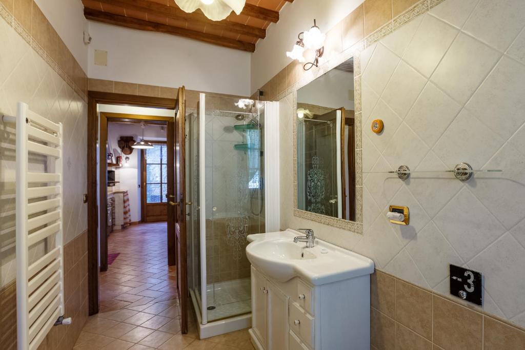une salle de bain avec un lavabo et une douche dans l'établissement villa Ada Belriguardo, à Sarteano