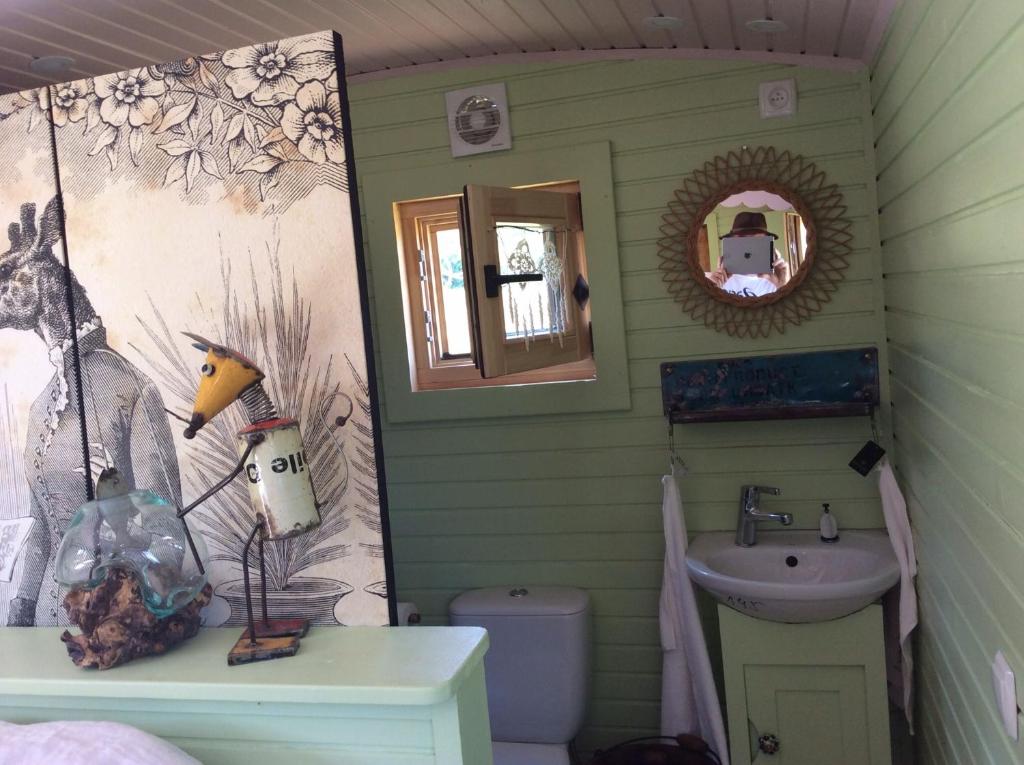 une salle de bain avec un lavabo, des toilettes et un miroir dans l'établissement Roulotte de luxe vue mer 180° ,et un ha de verdure, à Plougastel-Daoulas