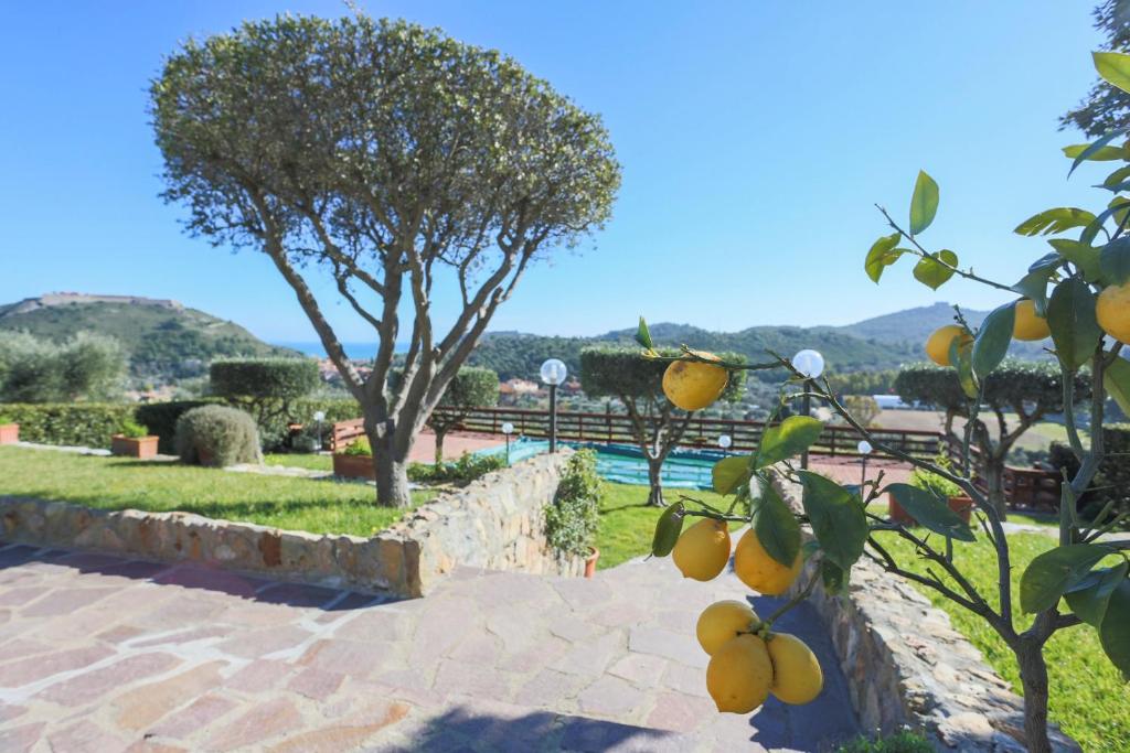 un oranger dans un jardin avec une piscine dans l'établissement ARGENTARIO Laura's POOL VILLA, à Porto Ercole