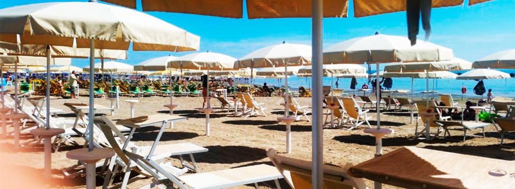 une plage avec des chaises et des parasols et l'océan dans l'établissement Hotel lo Squalo, à Grottammare