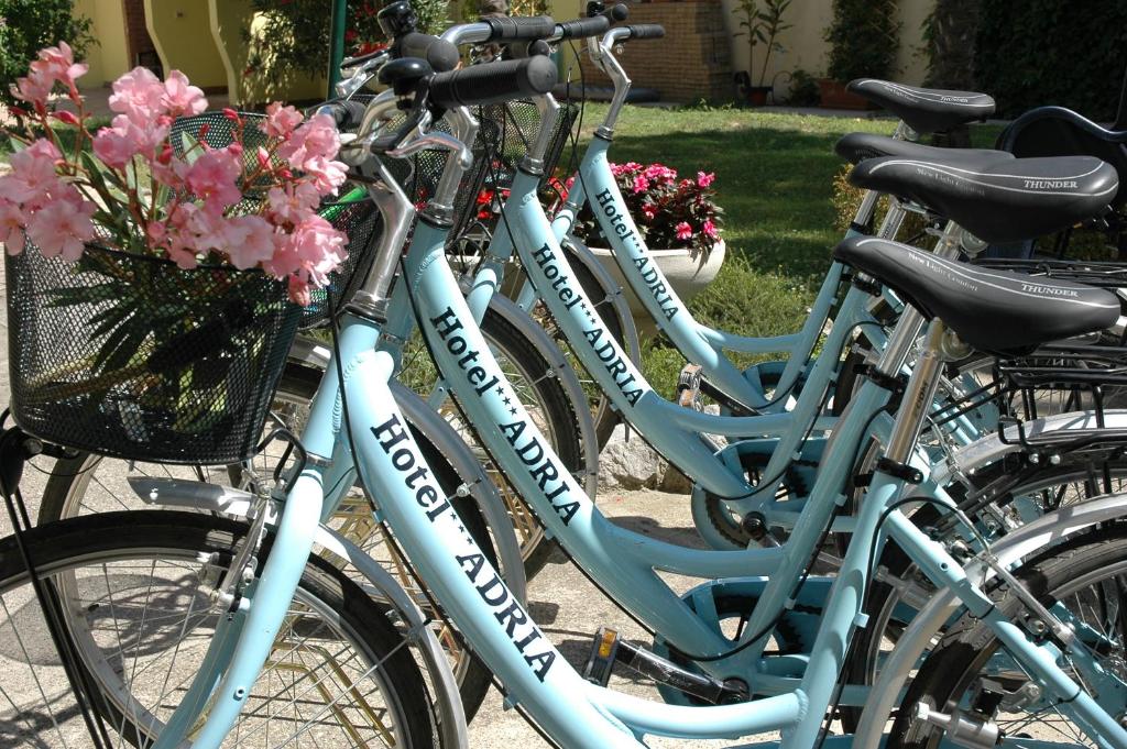 - un groupe de vélos garés l'un à côté de l'autre dans l'établissement Hotel Adria, à Lignano Sabbiadoro