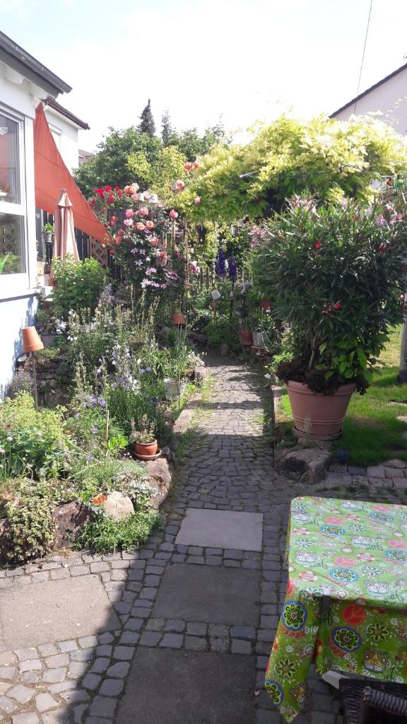 Zimmer Frei 5