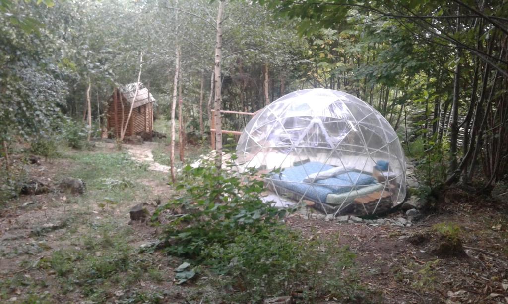 une tente crâne au milieu d'une forêt dans l'établissement bulle sous les etoiles, à Chénour