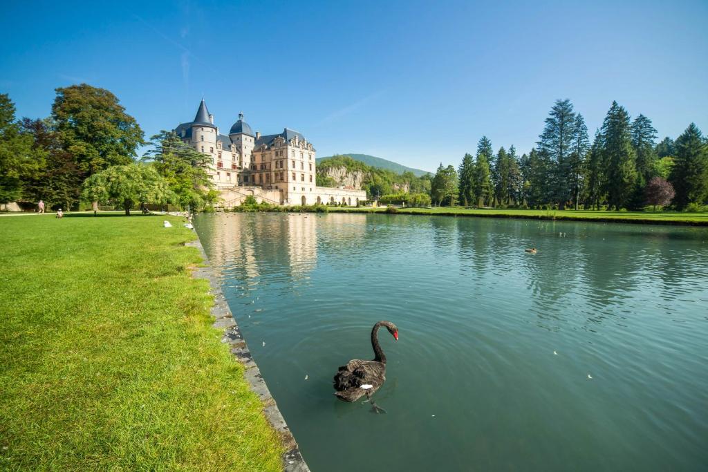 un canard dans l'eau devant un château dans l'établissement L'imprévu, à Vaulnaveys-le-Bas 36 autres photos