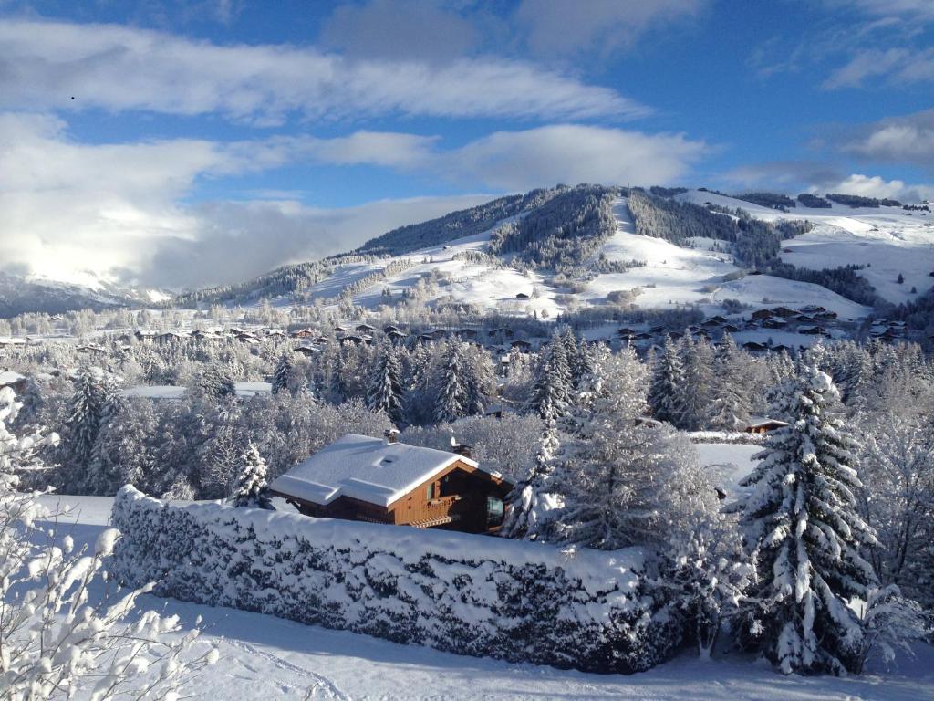 Photo de la galerie de l'établissement Appartement Hameau des Pistes - Ski-in and Ski-out, à Megève